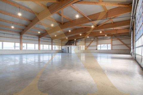 Arbing Halle, Arbing Hallenfläche