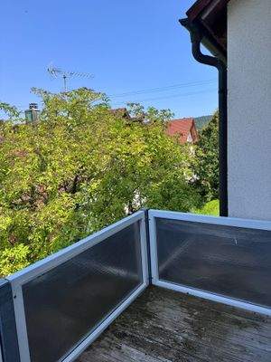 WhatsApp Image 2025-08-14 at 13.26.42 (11).jpeg