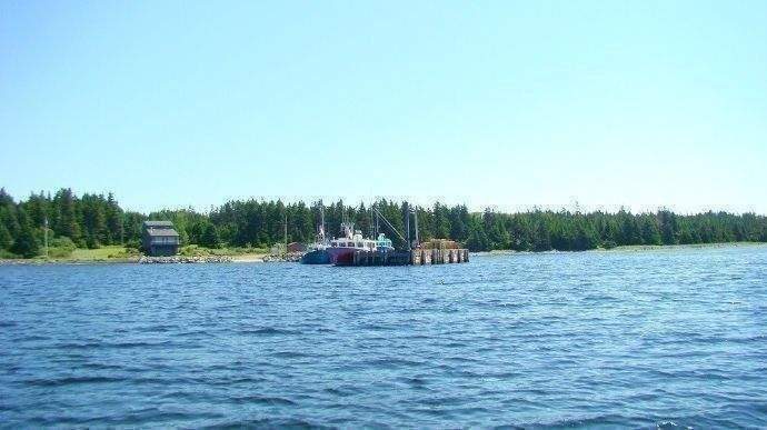 Fischerhafen Umgebung - Impressionen