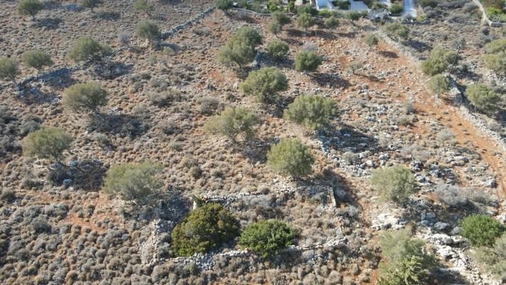 Kreta, Kokkino Chorio: Grundstück in fantastischer Lage zum Verkauf in Kokkino Chorio mit Baugenehmigung