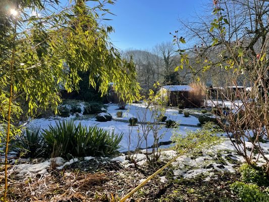 Blick aus dem Wintergarten
