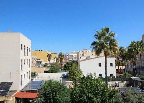 Palma de Mallorca Wohnungen, Palma de Mallorca Wohnung kaufen