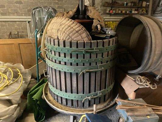 WhatsApp Image 2026-02-08 at 13.16.04 (3).jpeg