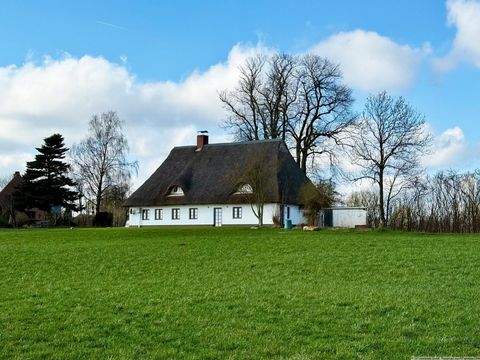 Klein Königsförde Häuser, Klein Königsförde Haus mieten 