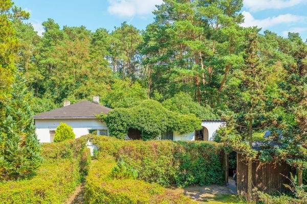 Direkt am Wald – Spaziergänge vor der Haustür