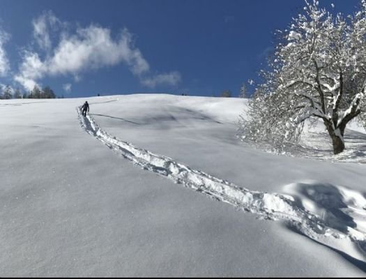 Bild 19