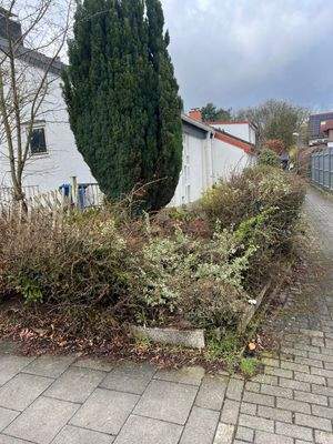 WhatsApp Image 2026-03-15 at 12.29.36.jpeg