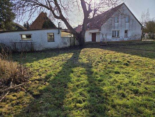 Garten Richtung Haus