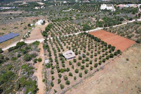Kreta, Mouzouras: Flaches Grundstück mit Panoramablick zu verkaufen