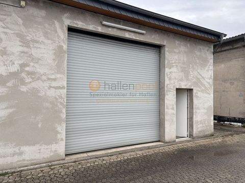 Andernach Halle, Andernach Hallenfläche