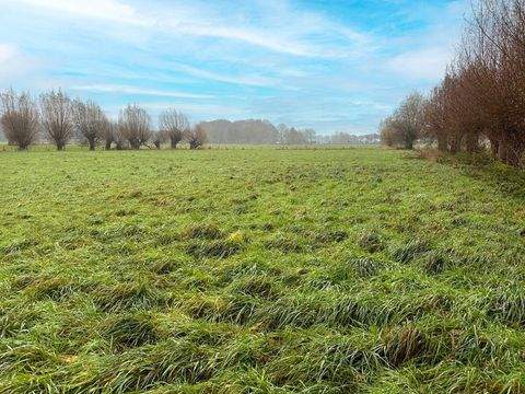 Krefeld / Hüls Bauernhöfe, Landwirtschaft, Krefeld / Hüls Forstwirtschaft