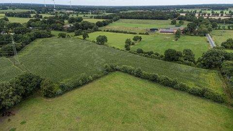 Westerstede Bauernhöfe, Landwirtschaft, Westerstede Forstwirtschaft