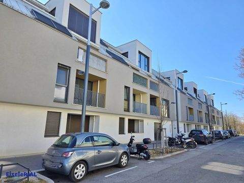 Wien Wohnungen, Wien Wohnung mieten