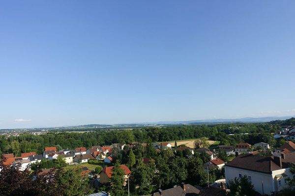 Elakfoto-095.jpg