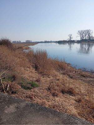 018ab461-f999-4296-a070-2a15bf7865e5