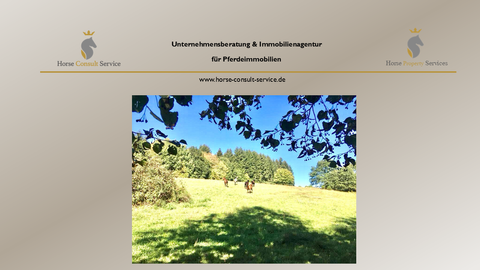 Adelmannsfelden Häuser, Adelmannsfelden Haus kaufen