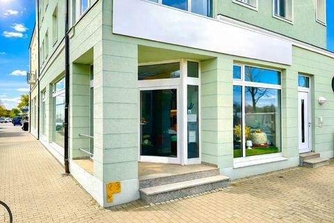 Dresden Ladenlokale, Ladenflächen 