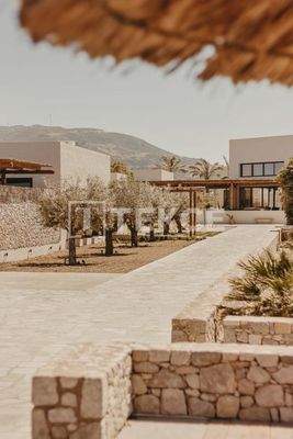 Villa Offering Expansive Cultivable Land in Yecla Murcia