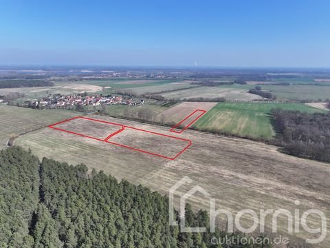 Wittichenau Bauernhöfe, Landwirtschaft, Wittichenau Forstwirtschaft