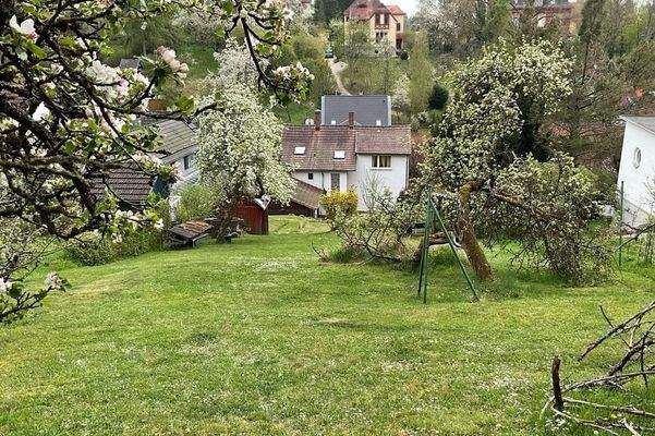 Garten mit Baumbestand