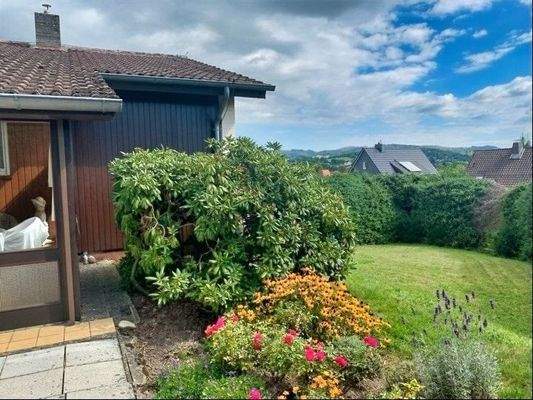 Blick in den Garten von der Terrasse