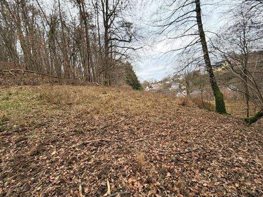 WhatsApp Image 2026-01-05 at 15.45.44 (10).jpeg