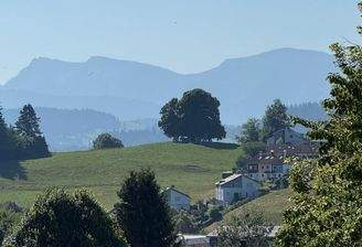 Bild2