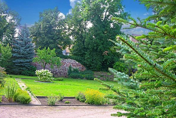 Bild13