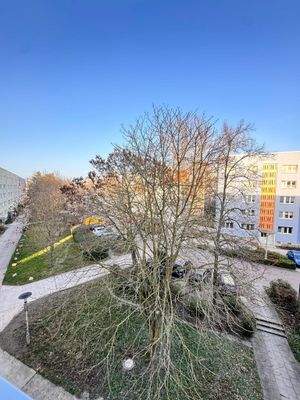 Blick aus Küchenfenster