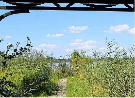 Ein erfrischendes Bad in der Schlei 