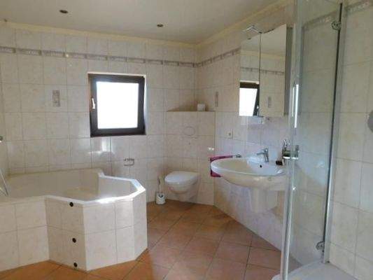 DB6 Wohn-Essbereich (14)