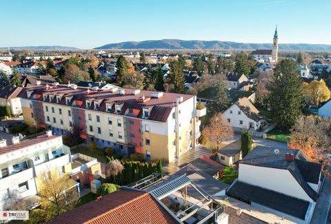 Stockerau Wohnungen, Stockerau Wohnung kaufen