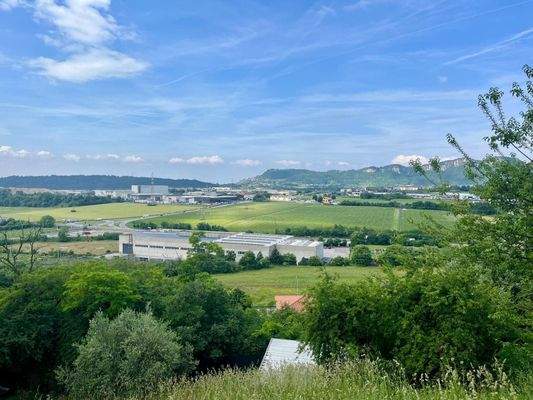 WhatsApp Image 2025-05-21 at 18.13.46 (1).jpeg