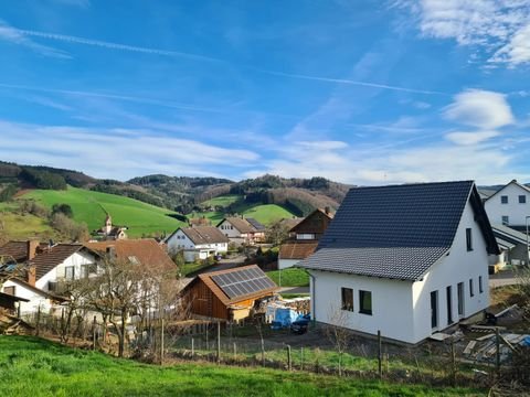 Schuttertal Häuser, Schuttertal Haus kaufen