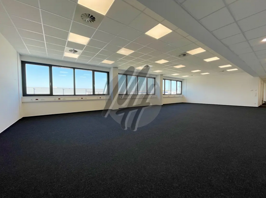 INFOS UNTER: 06171-586000