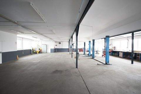 Euskirchen Halle, Euskirchen Hallenfläche