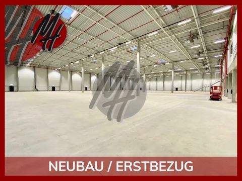Bielefeld Halle, Bielefeld Hallenfläche