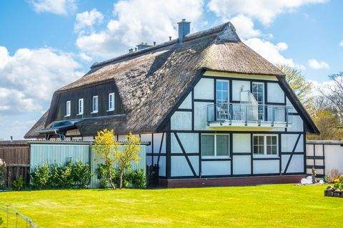 Gingst Häuser, Gingst Haus kaufen