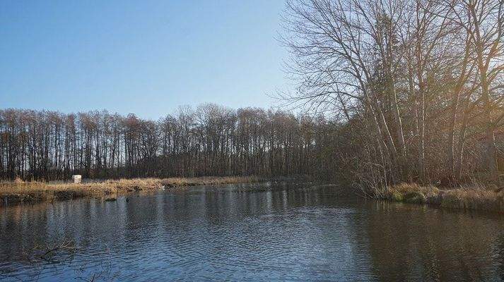 Teich an der Nebel in Dobbin