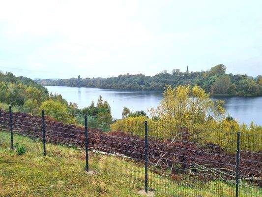 Blick vonTerrasse über den See