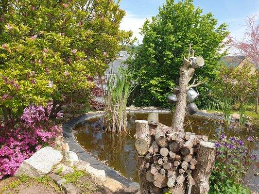 Eigener Gartenteich.jpg