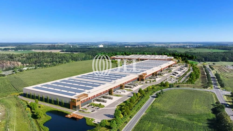 Grimma Halle, Grimma Hallenfläche