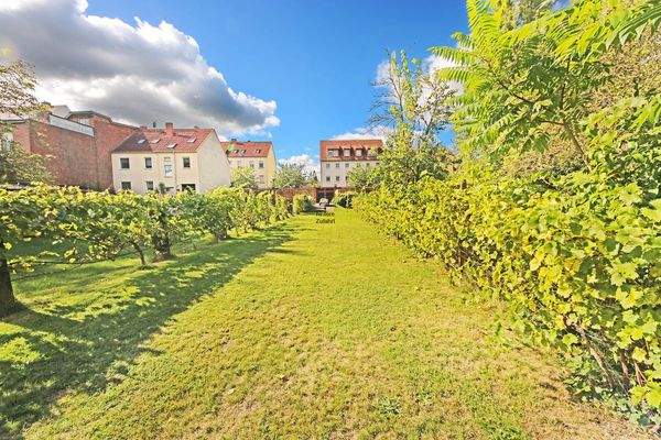 hintere Grundstück