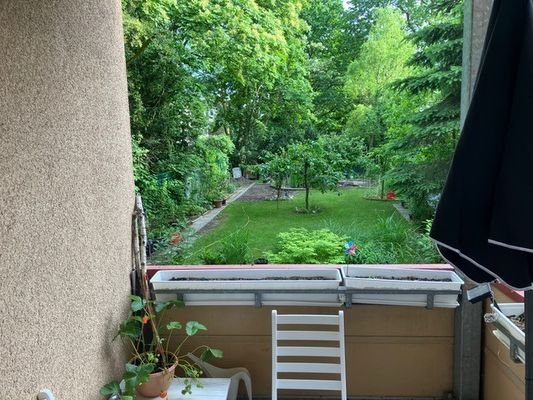 Blick vom Balkon in den Hausgarten