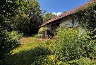 Blick auf Terrasse und Garten
