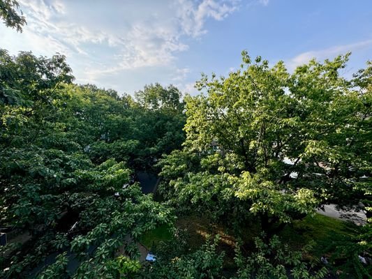 Blick vom Balkon