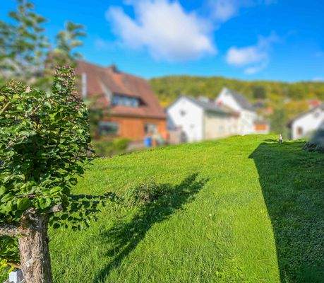 Grundstück_Langenprozelten (1)