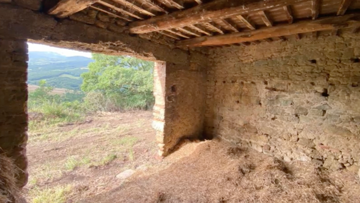 Screenshot 2025-10-20 alle 17.12.11.png