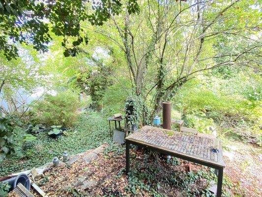 Blick auf die Terrasse und den Garten