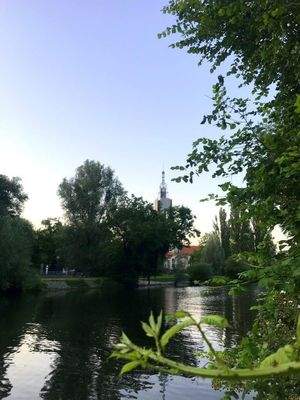 Mittagspause im Park